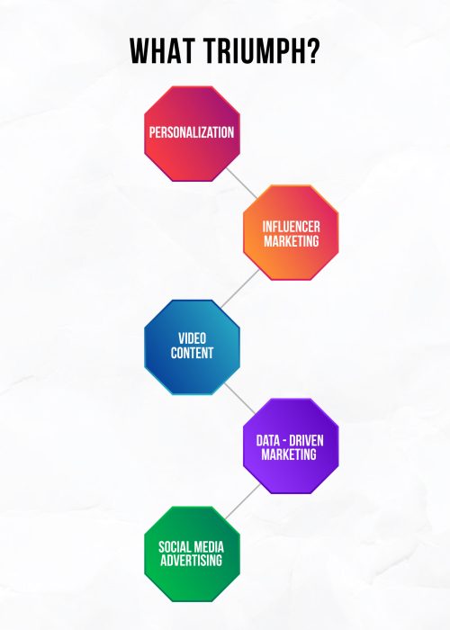 Infographics-05 Infographics-05
